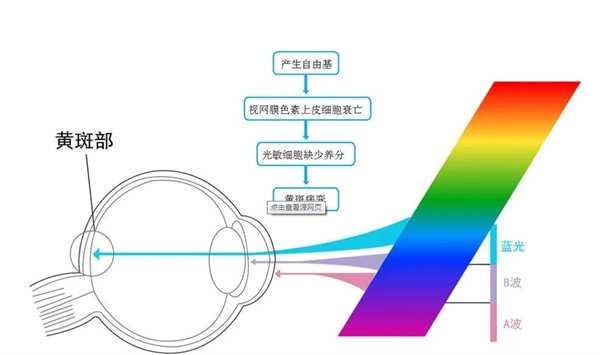 7_副本.jpg